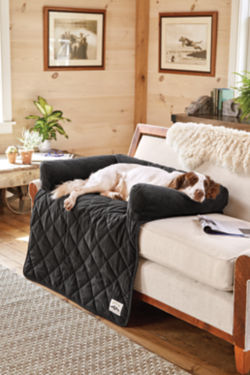 A dog laying on a Grip-Tight furniture protector