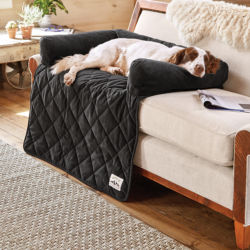 A brown and white dog asleep on a black furniture protector on a couch