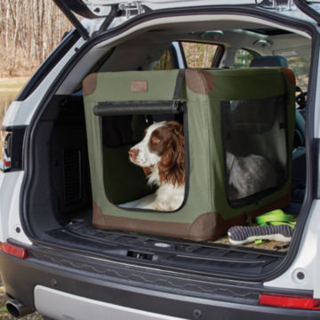 Dog rests in travel crate in an opened trunk.