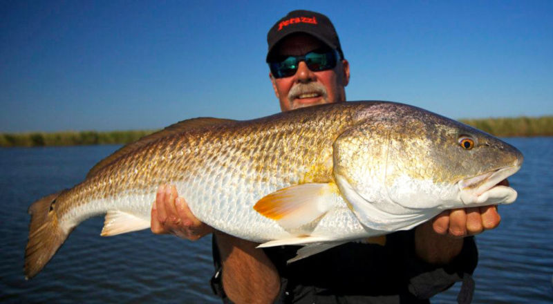 Capt. Skip Zink -  image number 1