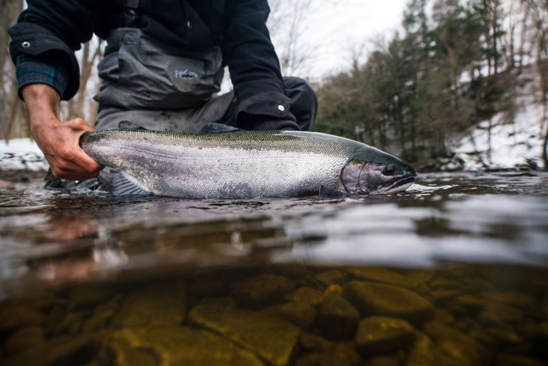 Orvis Steelhead School At Tailwater Lodge Altmar, NY - 