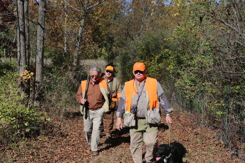 Complete Upland Hunting School At Orvis Sandanona, NY -  image number 2