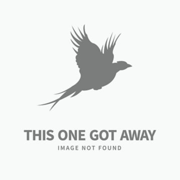 Complete Upland Hunting School at Orvis Sandanona, New York / 1-Day School -  image number 2