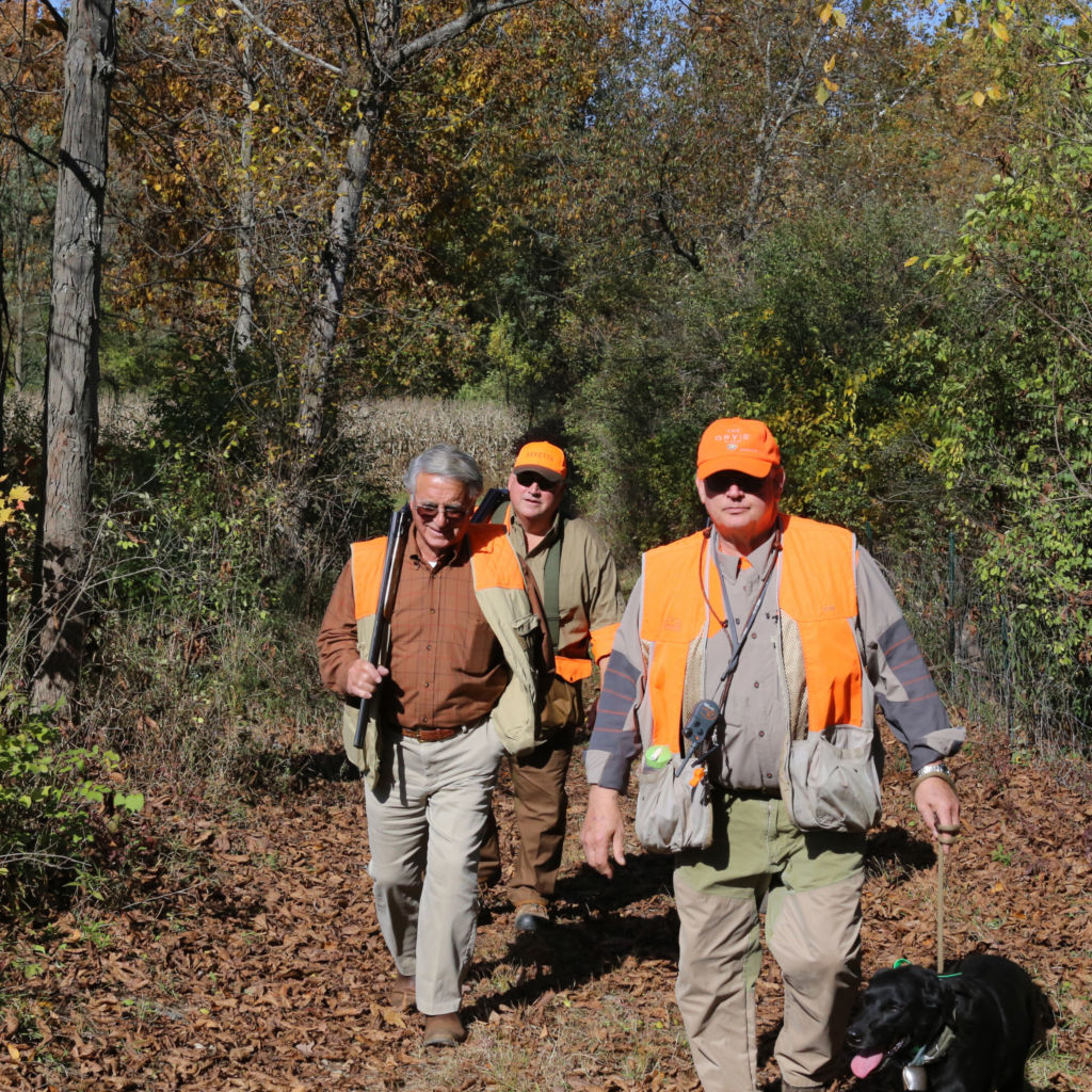 Complete Upland Hunting School at Orvis Sandanona, New York / 1-Day School -  image number 2