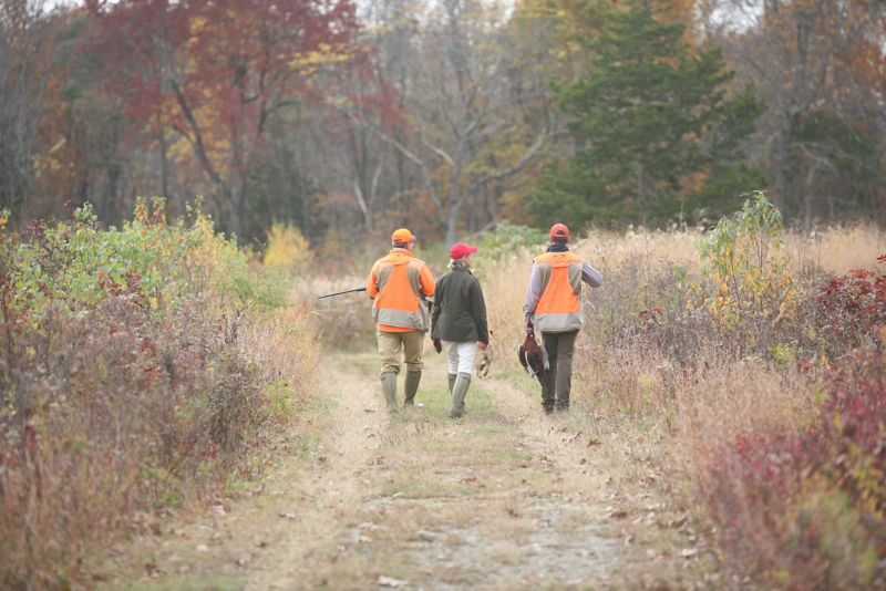Complete Upland Hunting School At Orvis Sandanona, NY