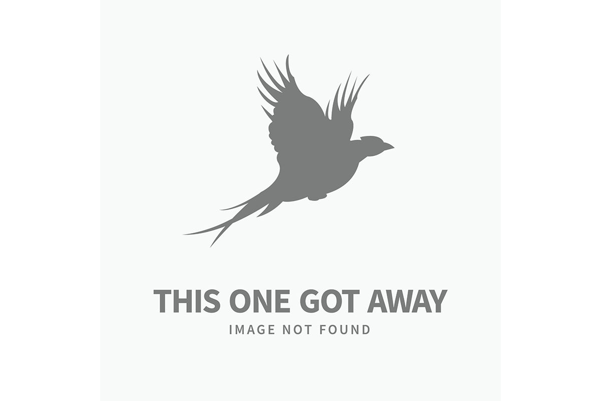 Complete Upland Hunting School at Orvis Sandanona, New York / 1-Day School - image number 0