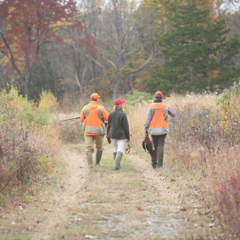 Complete Upland Hunting School at Orvis Sandanona, New York / 1-Day School -  image number 0