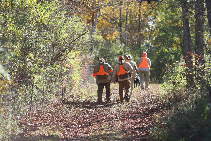 Complete Upland Hunting School At Orvis Sandanona, NY -  image number 3
