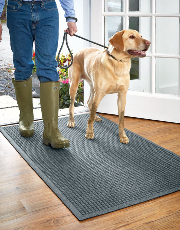 A person enters a home on a water trapper mat with their yellow labon a leash beside them.