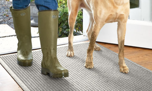 A dog and it's owner walk in onto a recycled water trapper mat.