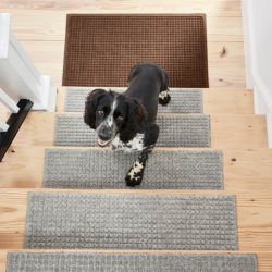 A small black and white dog looking up the stairs inside a home