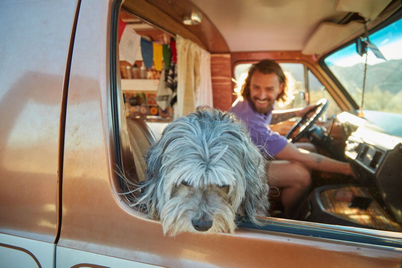 A dog sitting in front seat of van peeking her head out the window.