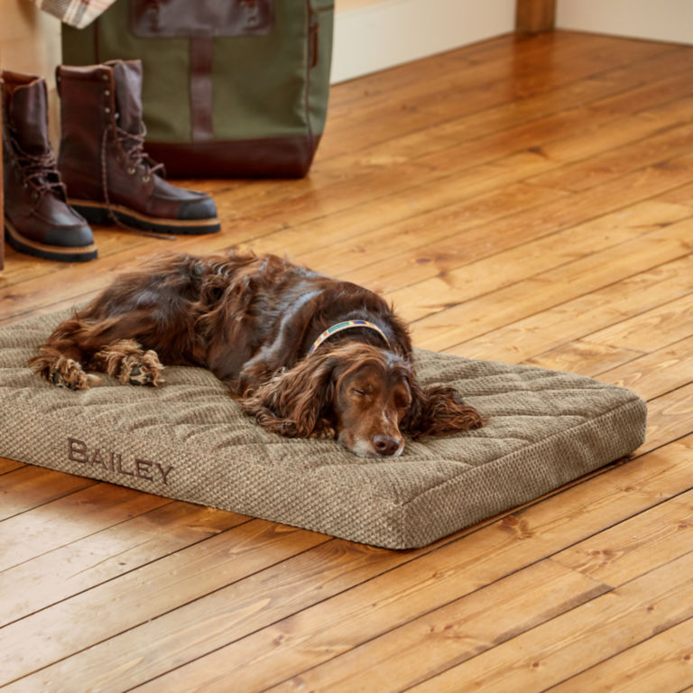 Orvis Memory Foam Platform Dog Bed -  image number 0
