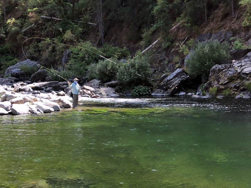 Mike Pease -  image number 1