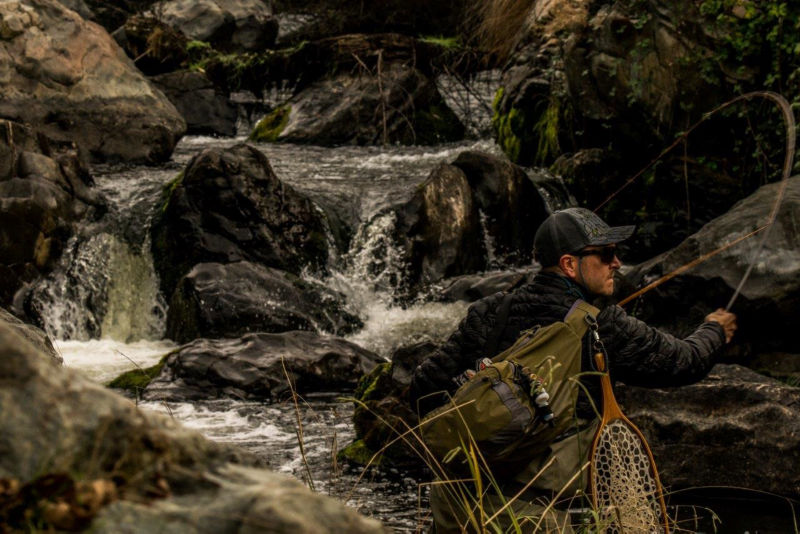 Mike Pease -  image number 3