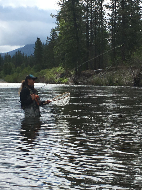 Mike Pease -  image number 5