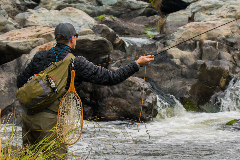 Mike Pease -  image number 0