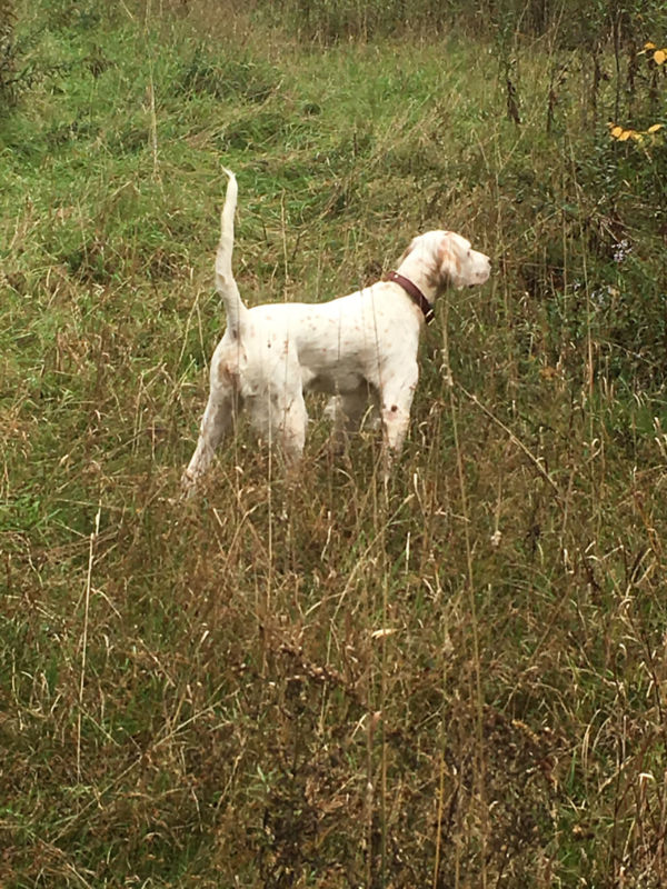 Rick Watson, NY -  image number 2