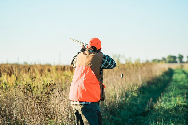 Heritage 1865, Upland Bird Hunting Preserve, IA -  image number 1