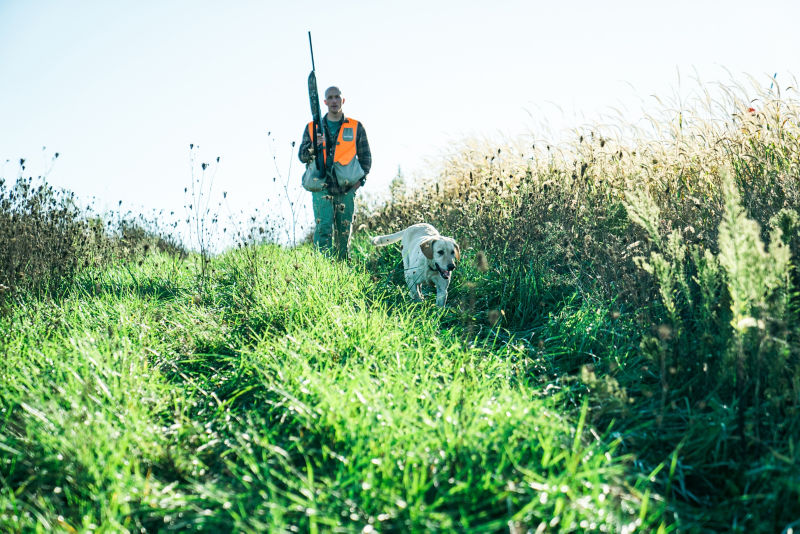 Heritage 1865, Upland Bird Hunting Preserve, IA -  image number 4