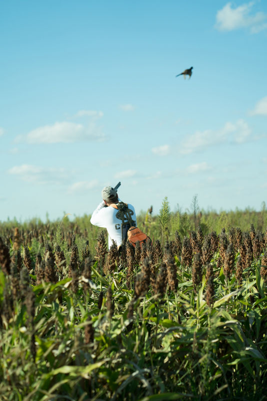 Heritage 1865, Upland Bird Hunting Preserve, IA - 