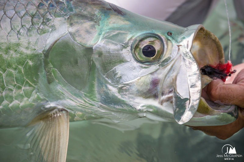 Belize Grand Slam Fly Fishing School