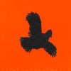 Blaze Orange Waxed Brim Mesh Cap - QUAIL