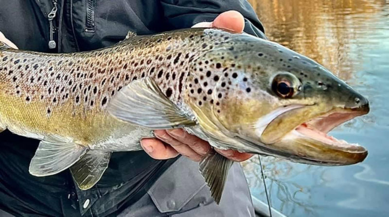 Wild East Outfitters, PA -  image number 1