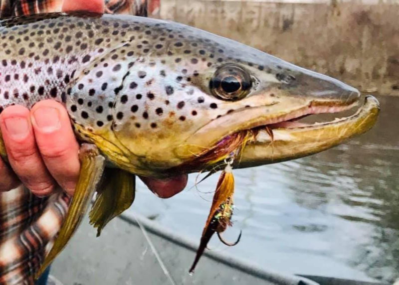 Wild East Outfitters, PA -  image number 2