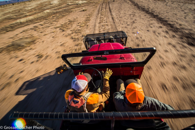 A group of hunters and their dogs ride out to the hunting grounds.