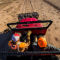 West Texas Quail Outfitters -  image number 2