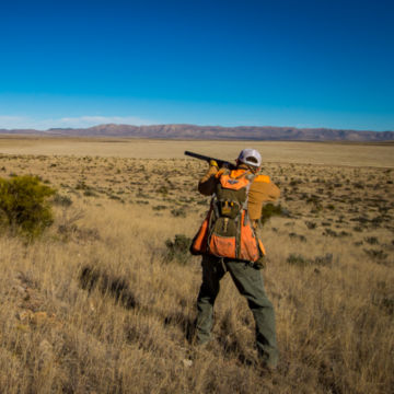 West Texas Quail Outfitters -  image number 3