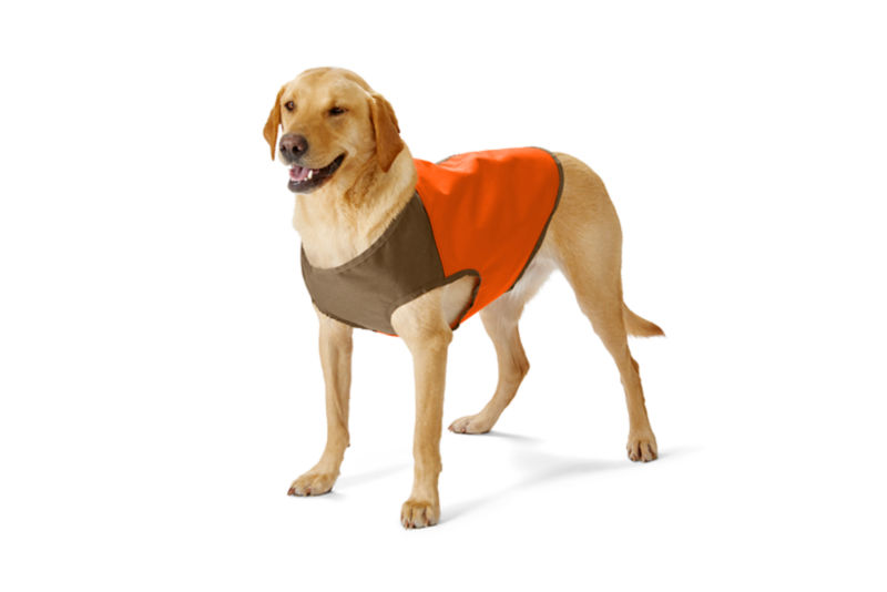 Dog hunting safety store vest