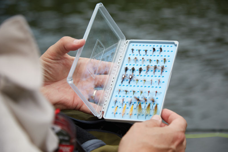 Manchester, Vermont Trout Combination School