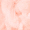 Eggstasy - SOCKEYE