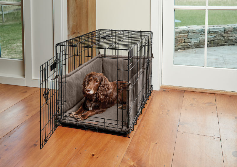 What to Put in Your Puppy's Crate at Night - Orvis News