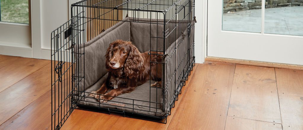 A dog in a crate on a wooden floor.