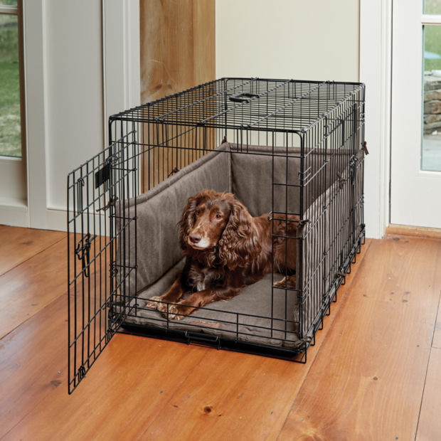 A brown dog laying down in a dog crate in a living room