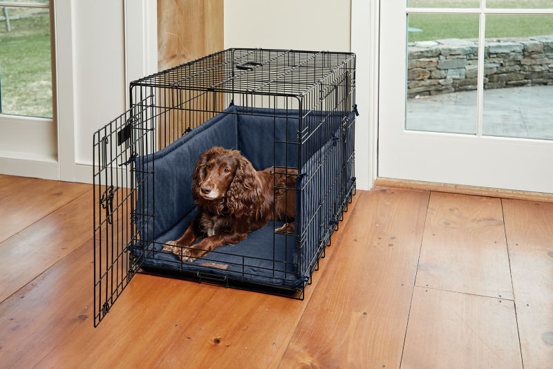 A brown dog inside a crate in a home