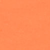 Silicone No-Rattle Dog Tag - ORANGE