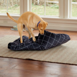 A yellow Labrador Retriever chewing at a blue Tough Chew dog bed