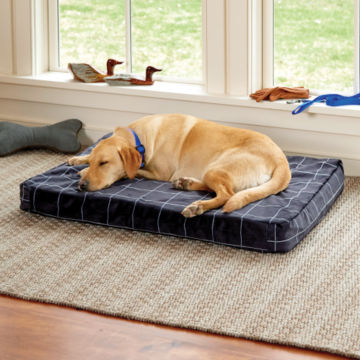 Golden Retriever asleep on Charcoal Orvis ToughChew® ComfortFill-Eco™ Platform Dog Bed.