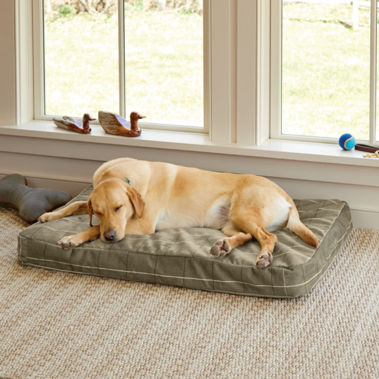 ToughChew®  Memory Foam Platform Dog Bed - LODEN image number 0