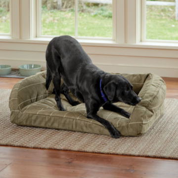 Black Lab tugs on its ToughChew® bed.