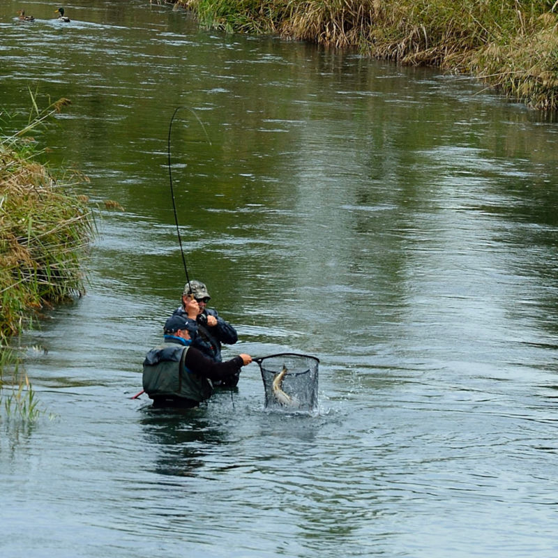 Ultimate Pyrenees Tour -  image number 1