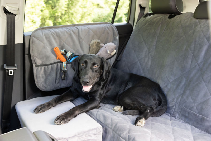 A black dog settled into the backseat of a vehicle.