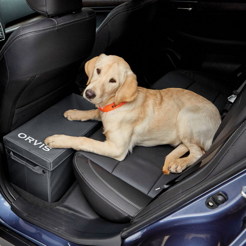 A yellow lab resting on a Backseat Extender with Storage