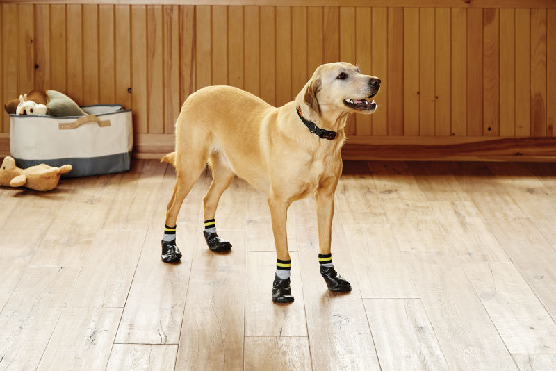 Set of 4 Grippers Traction Dog Socks