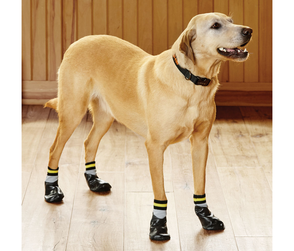 Dog Traction Socks - image number 0