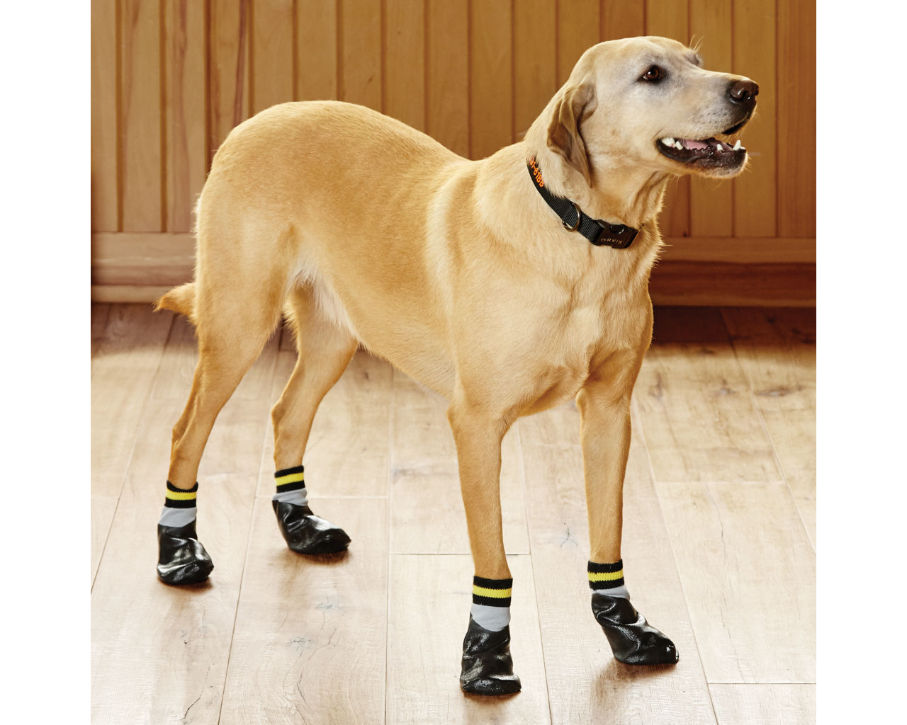 Dog Traction Socks -  image number 0